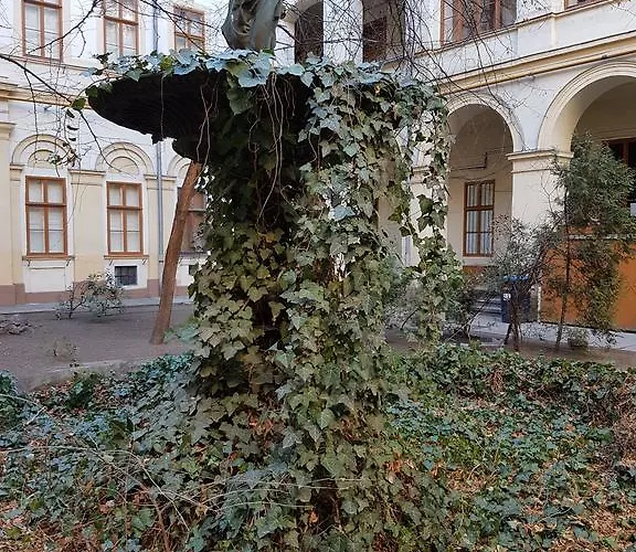 Liszt *