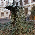 Liszt *