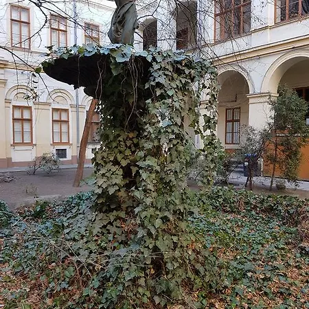 Liszt *